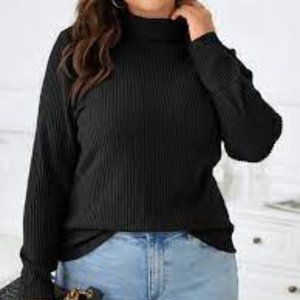 SHEIN LUNE Plus Turtleneck Ribbed Knit Tee